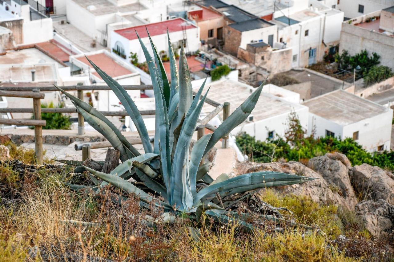 Nijar Bella Y Su Parque Natural Cabo De Gata Exteriör bild